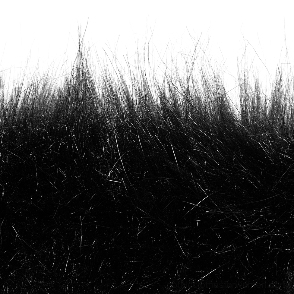 Close-up texture detail of black faux fur trim showing soft fluffy material on gothic coat