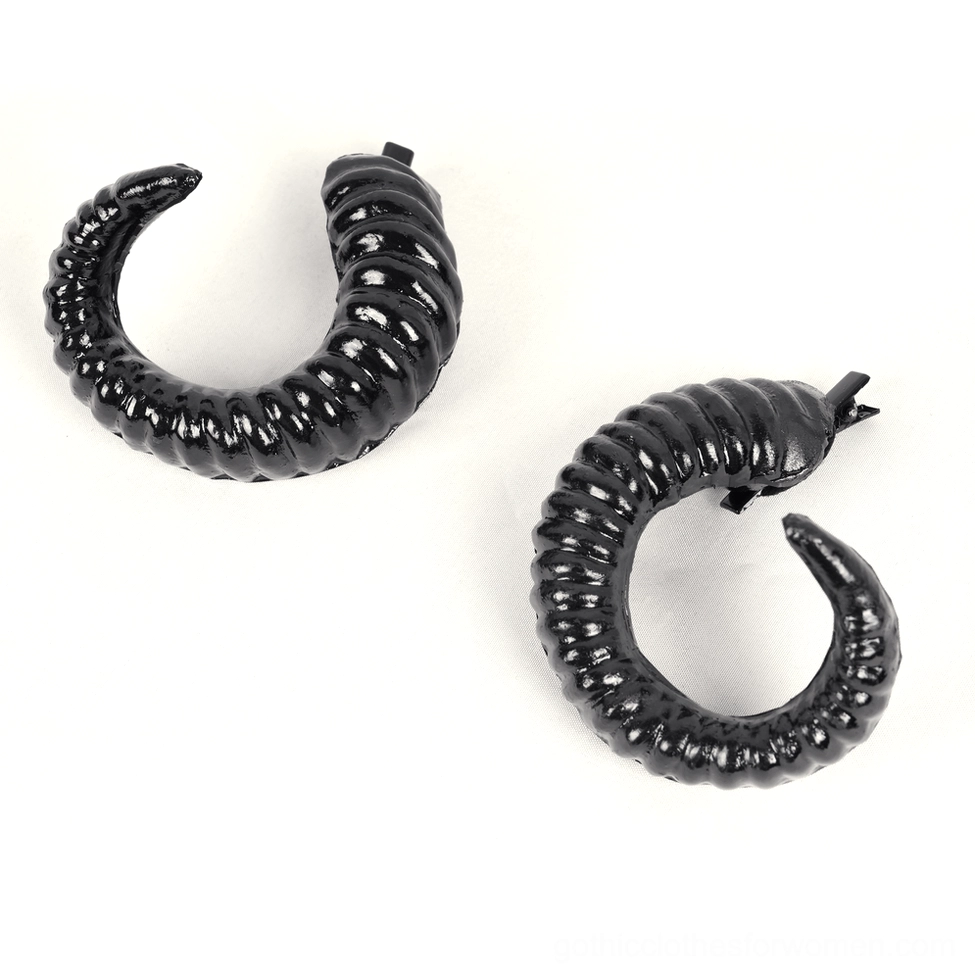Black ram horn accessories flat lay showing glossy spiral textured design of paired horns, top-down view