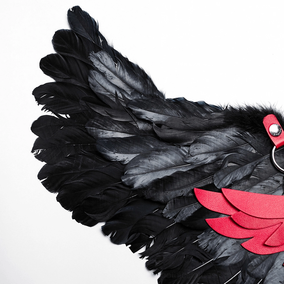 Close-up texture of dense fluffy black feathers with red leather trim edge detail