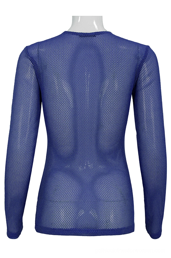 Back view of blue sheer mesh long sleeve top, highlighting the transparent texture and fitted sleeve design