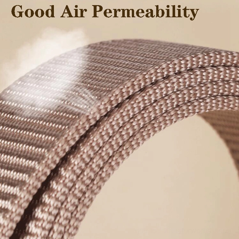 Premium nylon gothic belt material and texture with vintage bronze dragon buckle focus