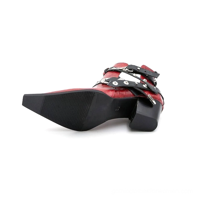 Gothic pointed toe chunky heel ankle boots with metal hardware embellishments fashion styling view