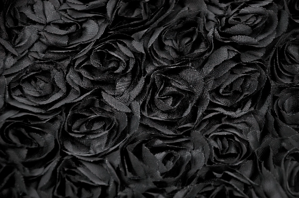Black gothic shorts with raised rose appliqué showing dimensional texture and Victorian lace hem
