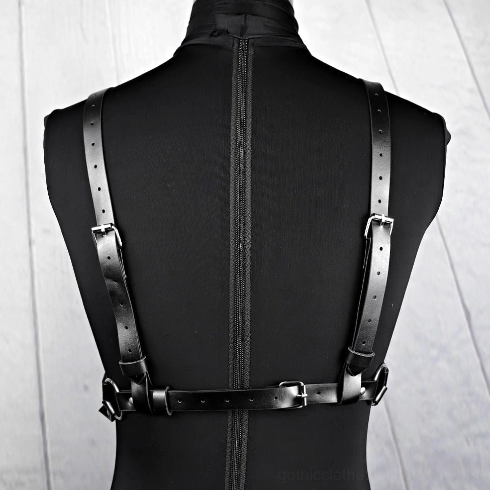 Back view of adjustable leather harness showing buckle fasteners and strap adjustability system
