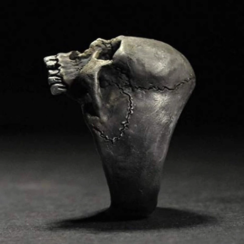 Aged silver skull ring side profile view with textured sutures and skull structure detail