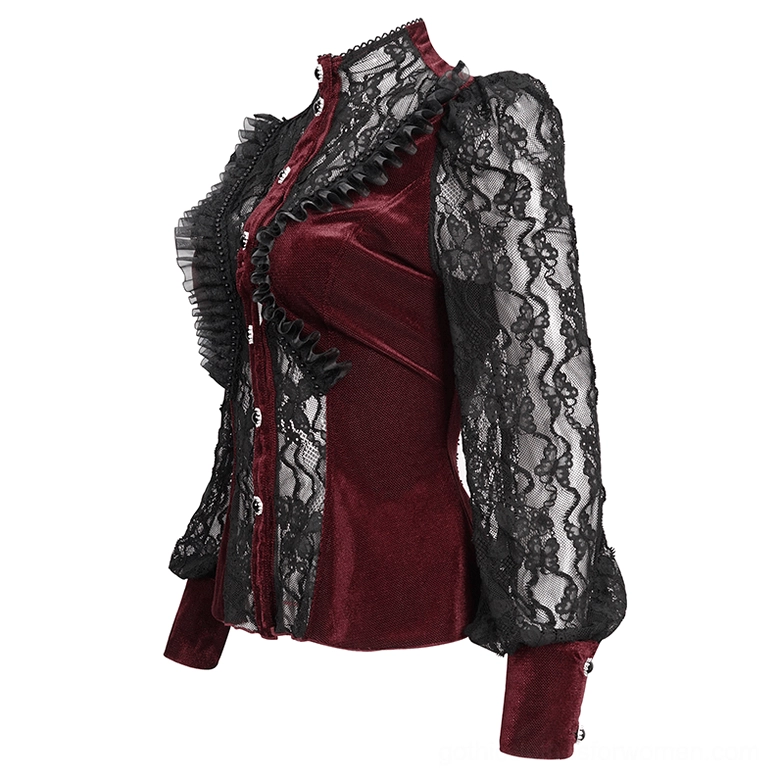 Alternative gothic blouse with dramatic puff sleeves and fitted velvet body panels - side three-quarter view